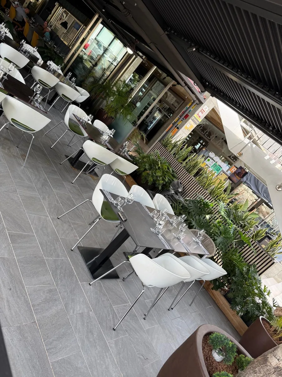 La terraza con las mesas puestas: sillas blancas junto a una hilera de plantas